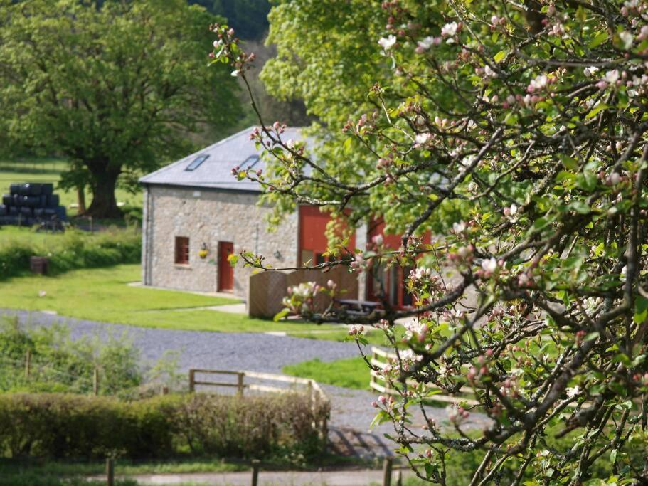 Peregrine Stable Cottage Llandovery Dış mekan fotoğraf