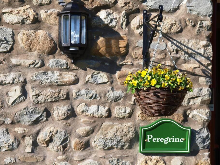 Peregrine Stable Cottage Llandovery Dış mekan fotoğraf